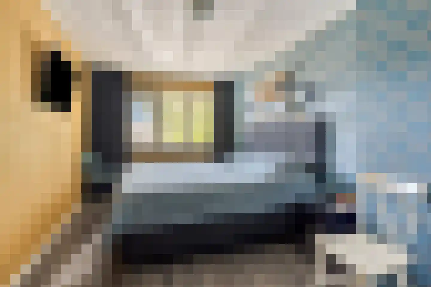 Mr. J. Panstraat 11 Emmen thumbnail 17
