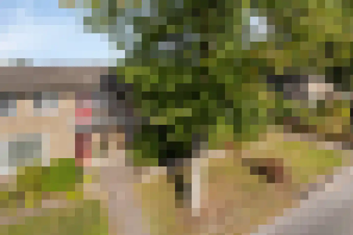 Mr. J. Panstraat 11 Emmen thumbnail 31