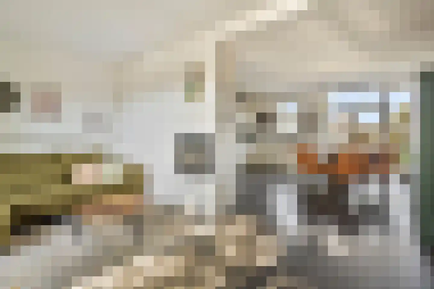 Mr. J. Panstraat 11 Emmen thumbnail 4