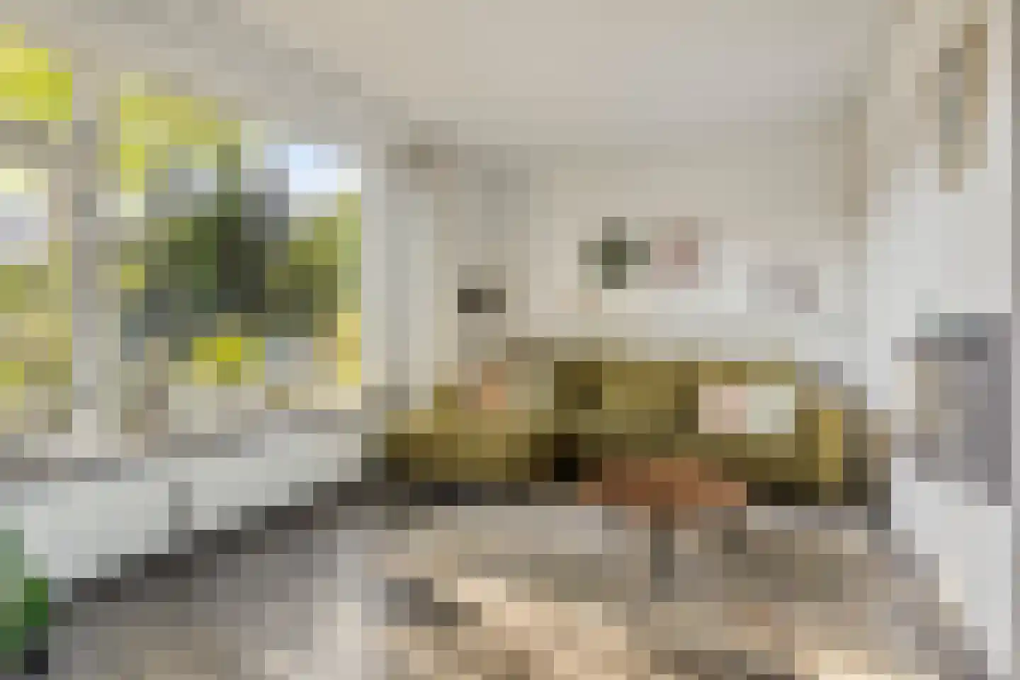Mr. J. Panstraat 11 Emmen thumbnail 5