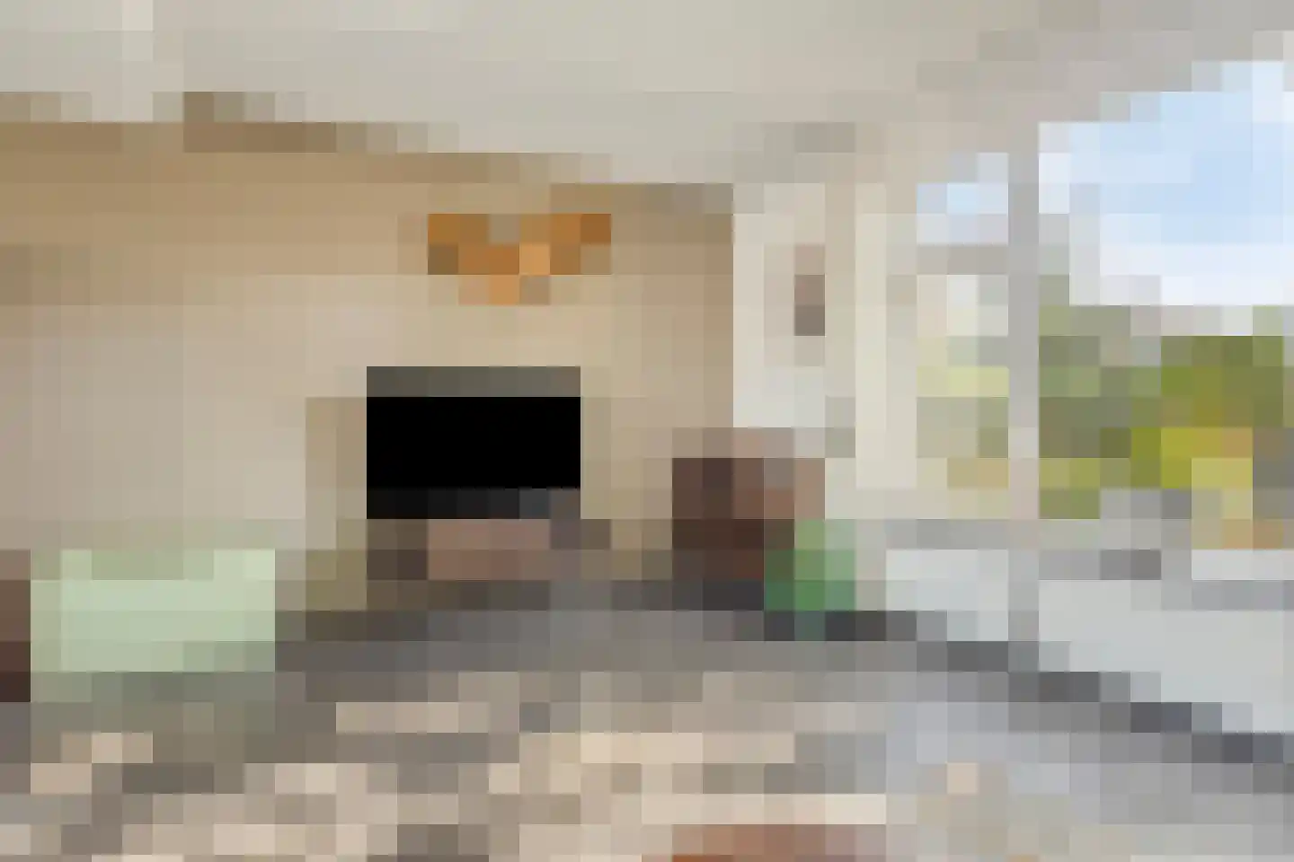 Mr. J. Panstraat 11 Emmen thumbnail 7