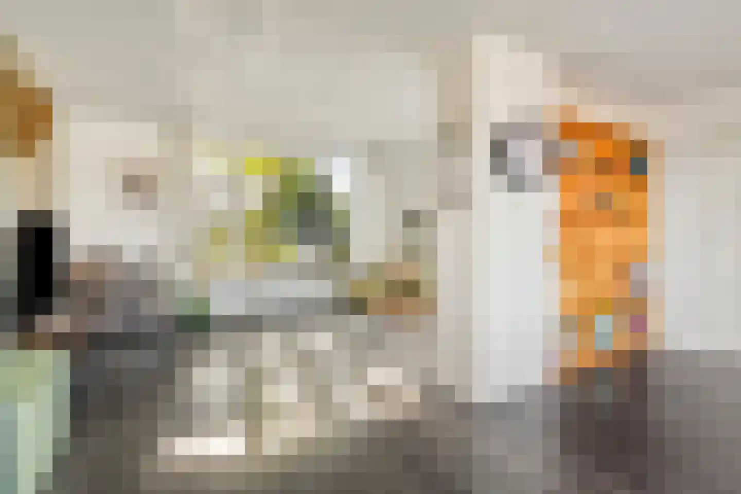 Mr. J. Panstraat 11 Emmen thumbnail 8