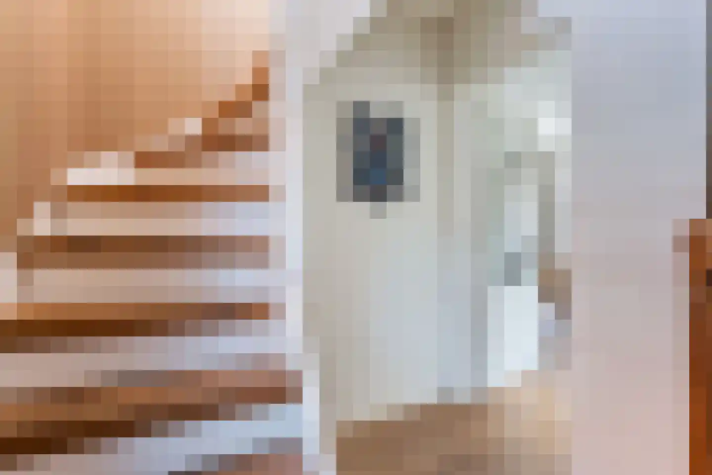 Mr. J.R. Moddermanstraat 1 Veendam thumbnail 21
