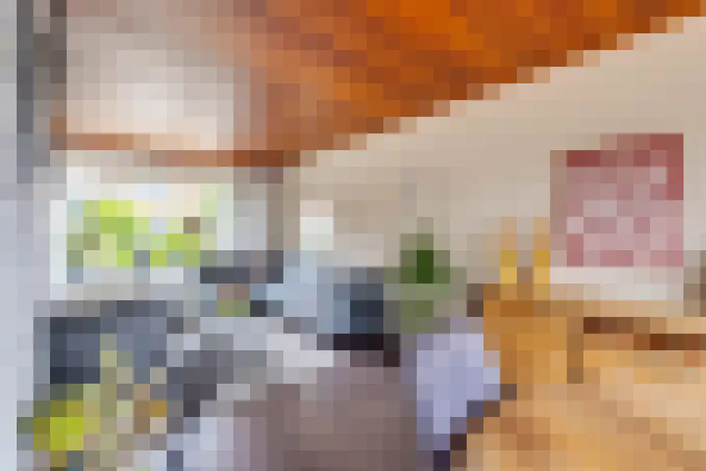 Mr J R Thorbeckestraat 31 Zuidland thumbnail 10