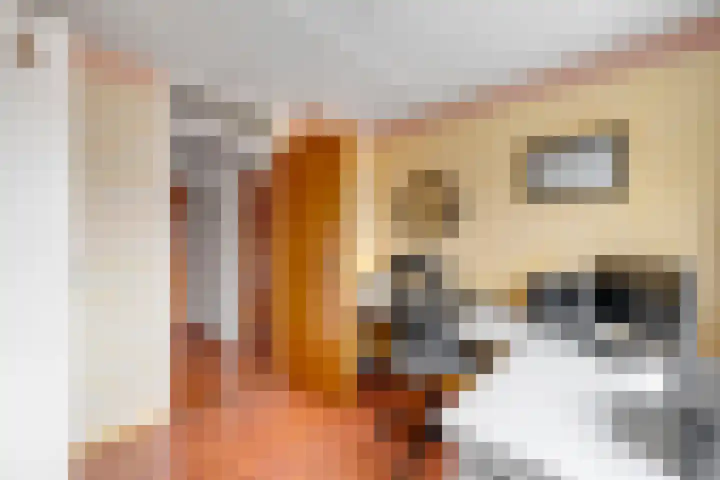 Mr J R Thorbeckestraat 31 Zuidland thumbnail 22