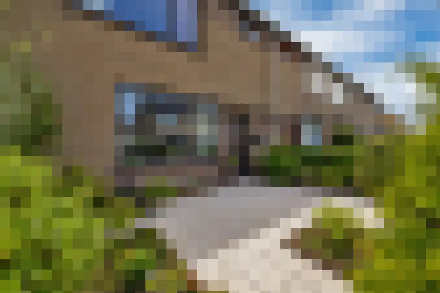 Mr J R Thorbeckestraat 31 Zuidland thumbnail 36