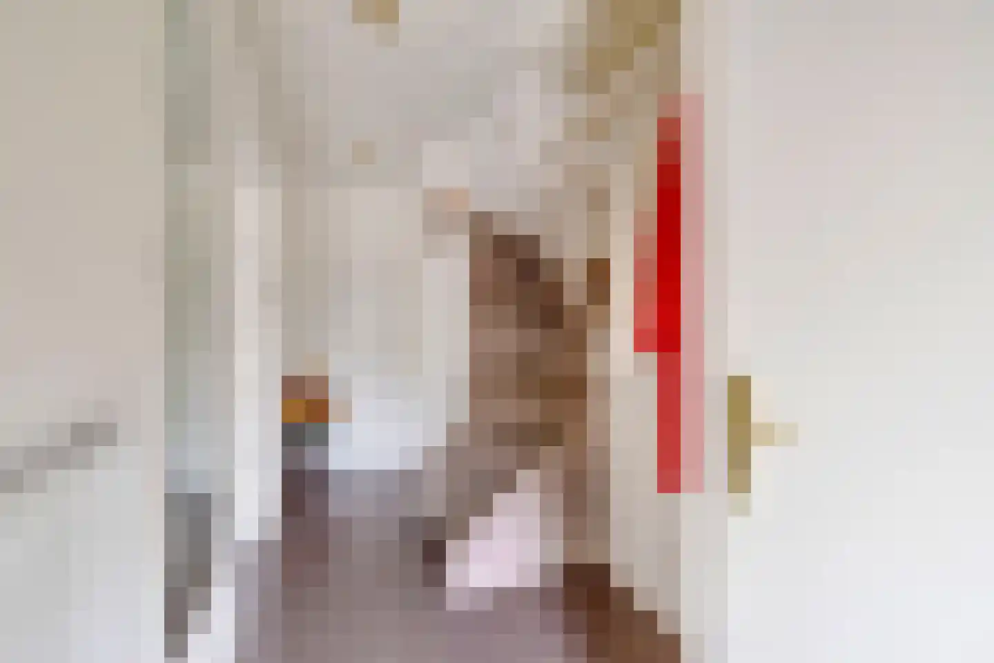 Mr J R Thorbeckestraat 31 Zuidland thumbnail 7