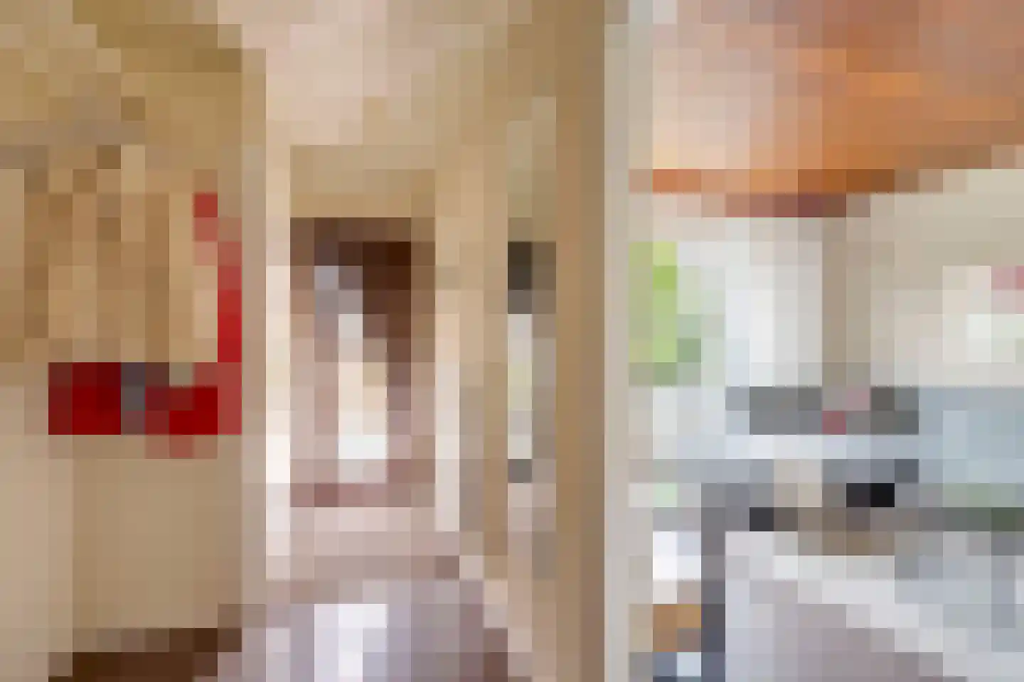 Mr J R Thorbeckestraat 31 Zuidland thumbnail 9