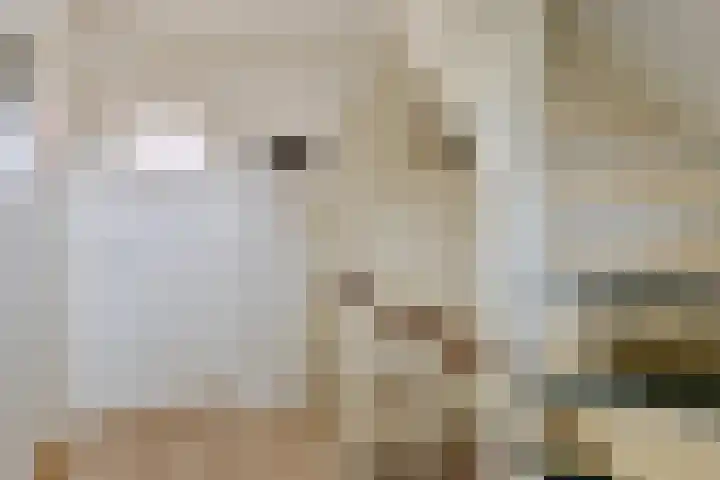 Mr J R Thorbeckestraat 5 Zuidland thumbnail 23