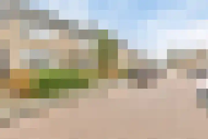 Mr J R Thorbeckestraat 5 Zuidland thumbnail 4