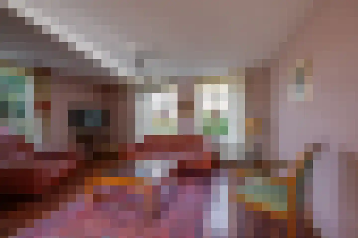 mr. Jaap Burgerlaan 6 Willemstad thumbnail 12