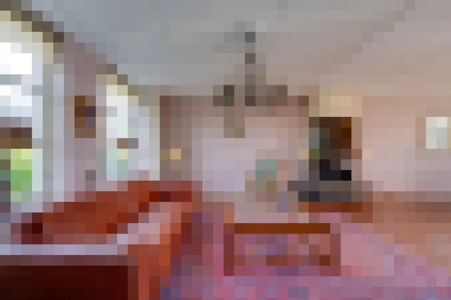 mr. Jaap Burgerlaan 6 Willemstad thumbnail 14