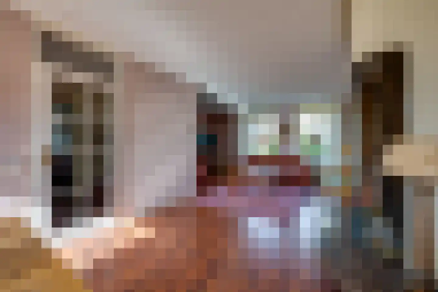 mr. Jaap Burgerlaan 6 Willemstad thumbnail 17