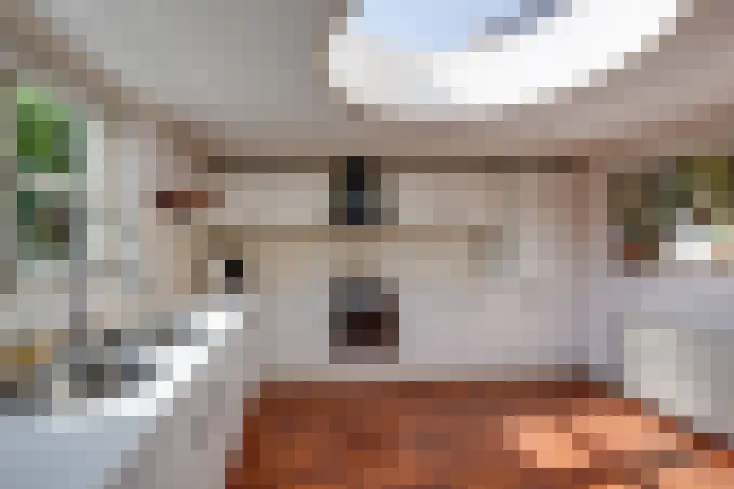 mr. Jaap Burgerlaan 6 Willemstad thumbnail 21