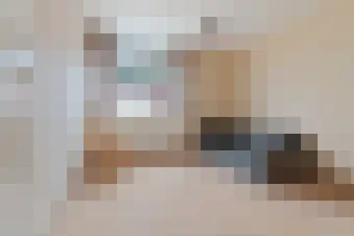 Mr. Jacob Anton Schorerstraat 19 Arnhem thumbnail 24