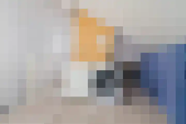 Mr. Jacob Anton Schorerstraat 19 Arnhem thumbnail 31
