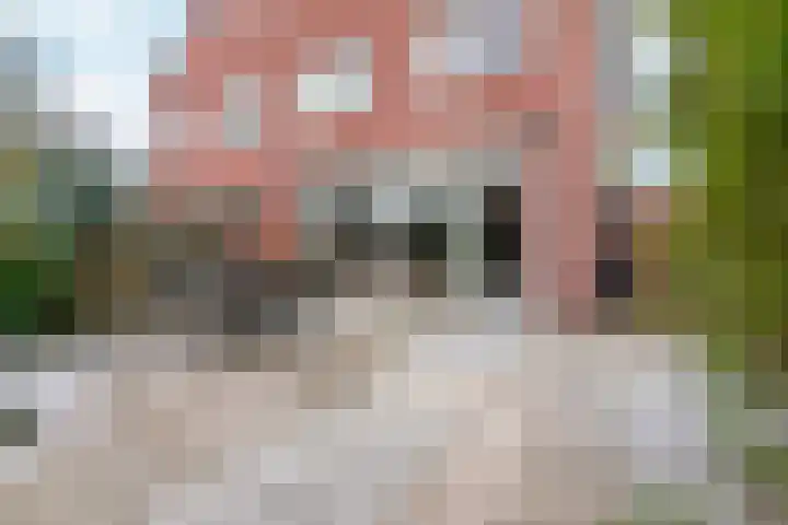 Mr. Jacob Anton Schorerstraat 19 Arnhem thumbnail 37