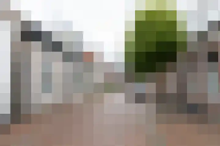 Mr. Jan Freseman Viëtor-straat 23 Winschoten thumbnail 5