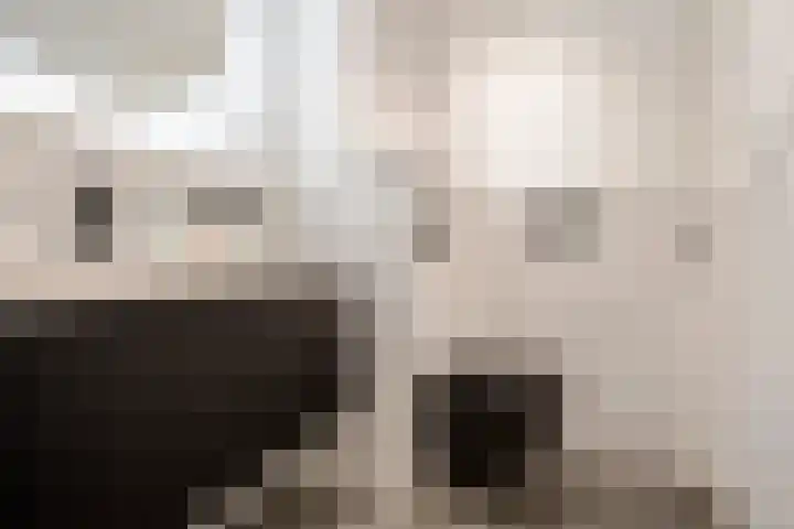 Mr. Jan Gerritszlaan 31 A Haarlem thumbnail 32