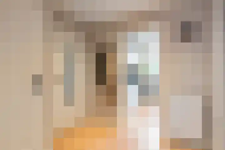 Mr. Jan Gerritszlaan 31 A Haarlem thumbnail 4