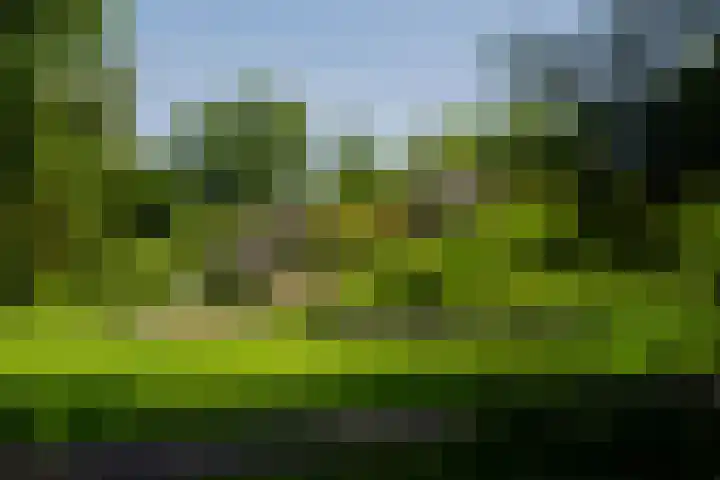 Mr. Jan Gerritszlaan 57 III Haarlem thumbnail 25