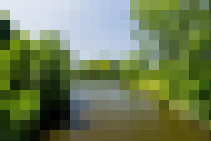 Mr. Jan Gerritszlaan 57 III Haarlem thumbnail 27
