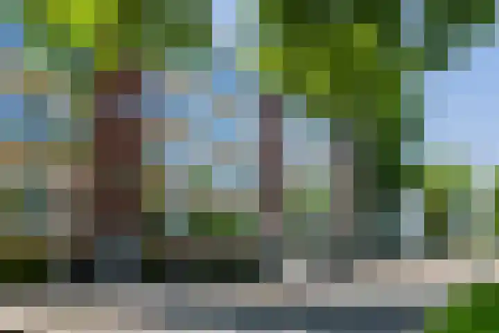 Mr. Jan Gerritszlaan 57 III Haarlem thumbnail 30