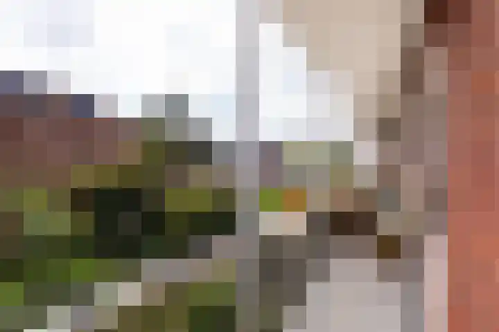 Mr. Jan Gerritszlaan 71 Haarlem thumbnail 6