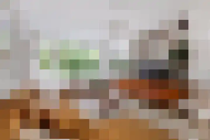Mr. Jan Gerritszlaan 71 Haarlem thumbnail 8