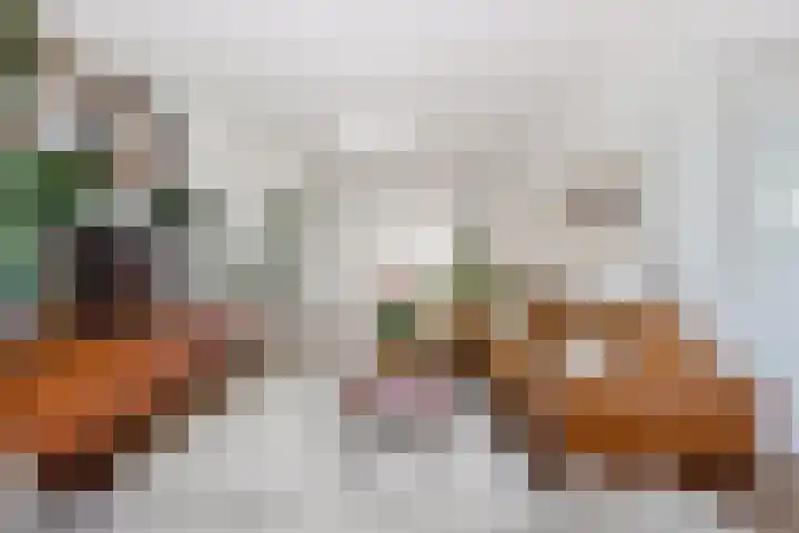 Mr. Jan Gerritszlaan 71 Haarlem thumbnail 9