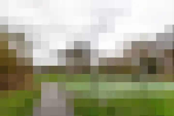 Mr. Jan Gerritszlaan 73 II Haarlem thumbnail 23