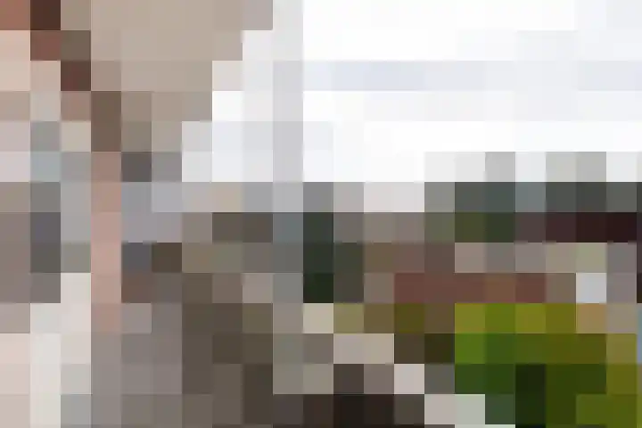 Mr. Jan Gerritszlaan 73 II Haarlem thumbnail 9