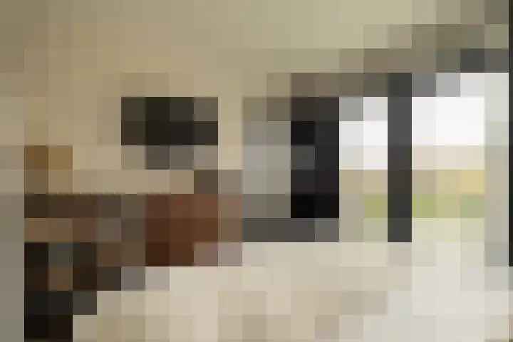Mr. Jan Gerritszlaan 87 II Haarlem thumbnail 20