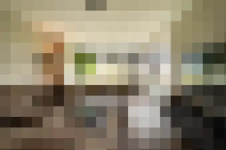 Mr. Jan Gerritszlaan 87 II Haarlem thumbnail 7