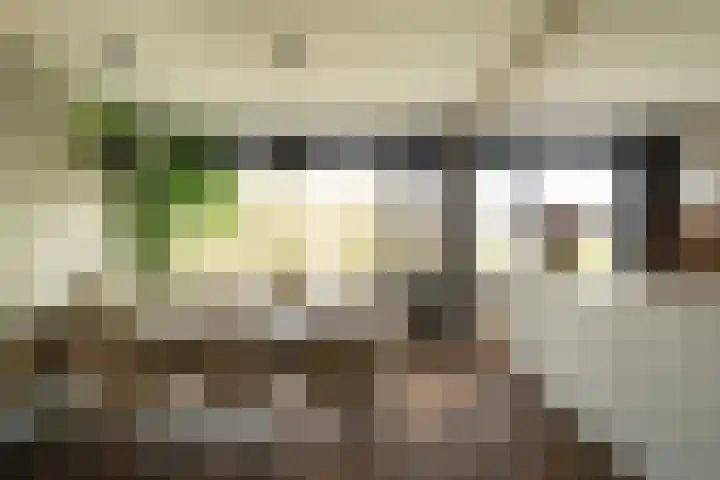 Mr. Jan Gerritszlaan 87 II Haarlem thumbnail 8