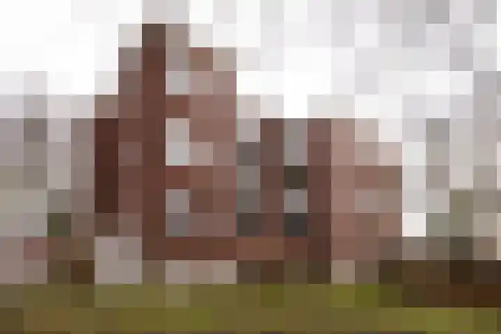 Mr. Jan Gerritszlaan 9 C Haarlem thumbnail 27