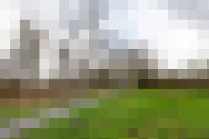 Mr. Jan Gerritszlaan 9 C Haarlem thumbnail 31