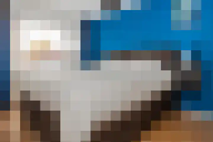 Mr. Jan Tuningstraat 18 Naaldwijk thumbnail 31