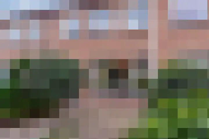 Mr. Jan Tuningstraat 18 Naaldwijk thumbnail 50