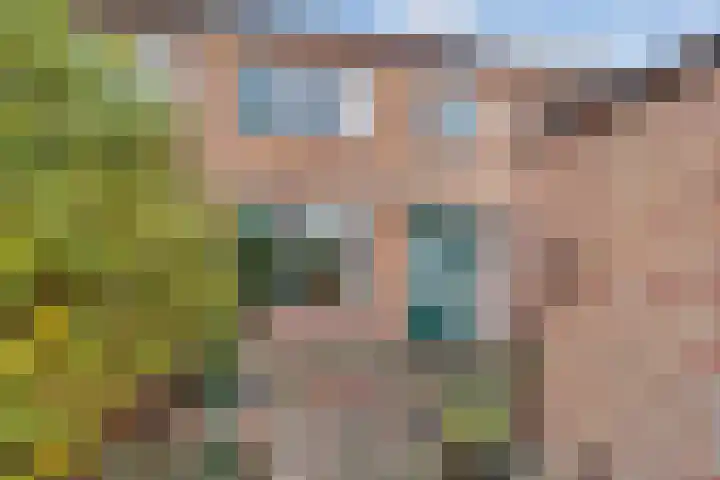 Mr. Jan Tuningstraat 22 Naaldwijk thumbnail 11