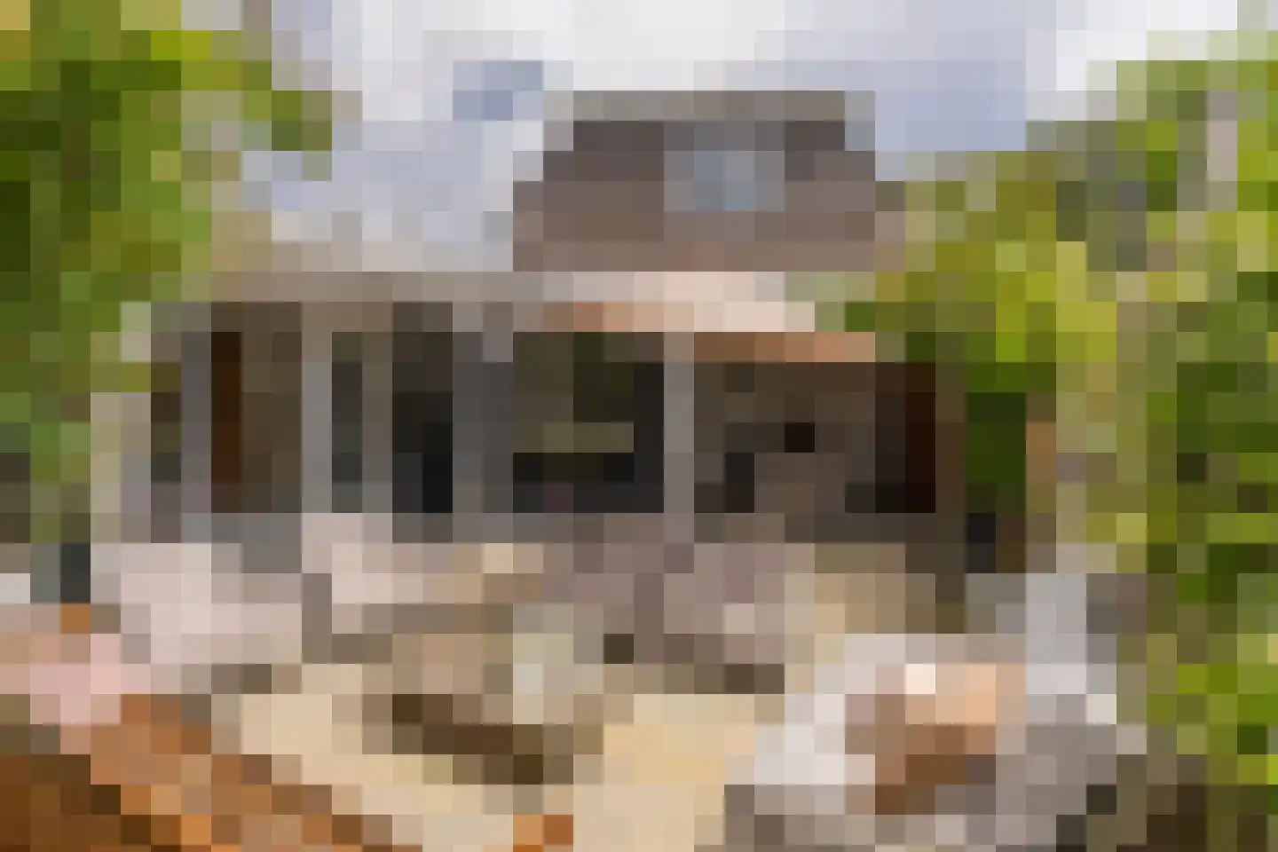 Mr. Jan Tuningstraat 80 Naaldwijk thumbnail 4