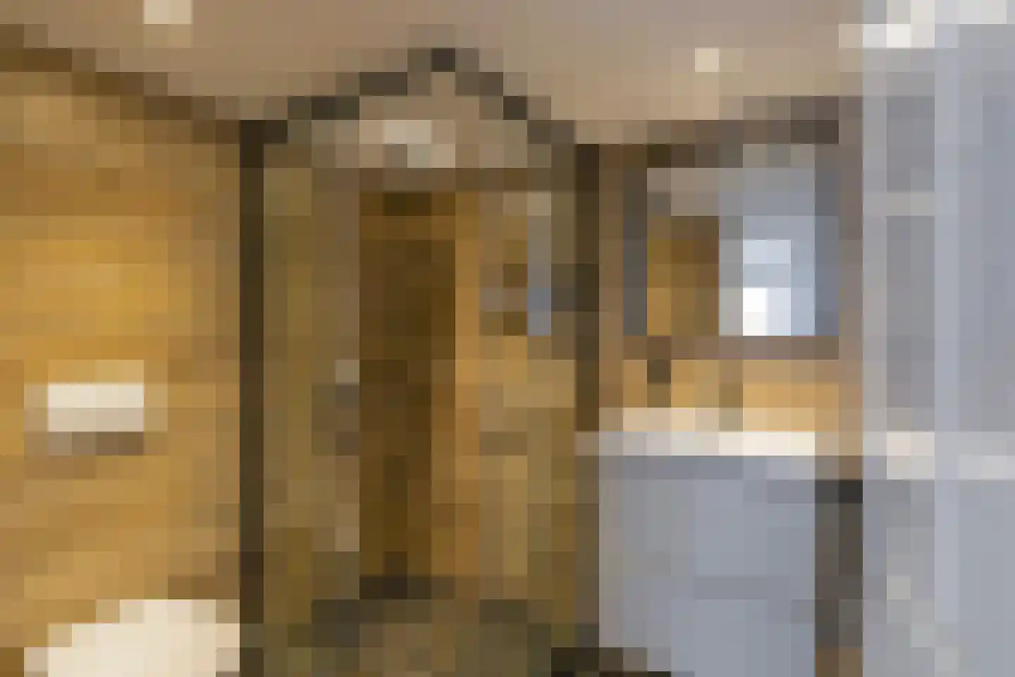 Mr. Jan Tuningstraat 80 Naaldwijk thumbnail 52