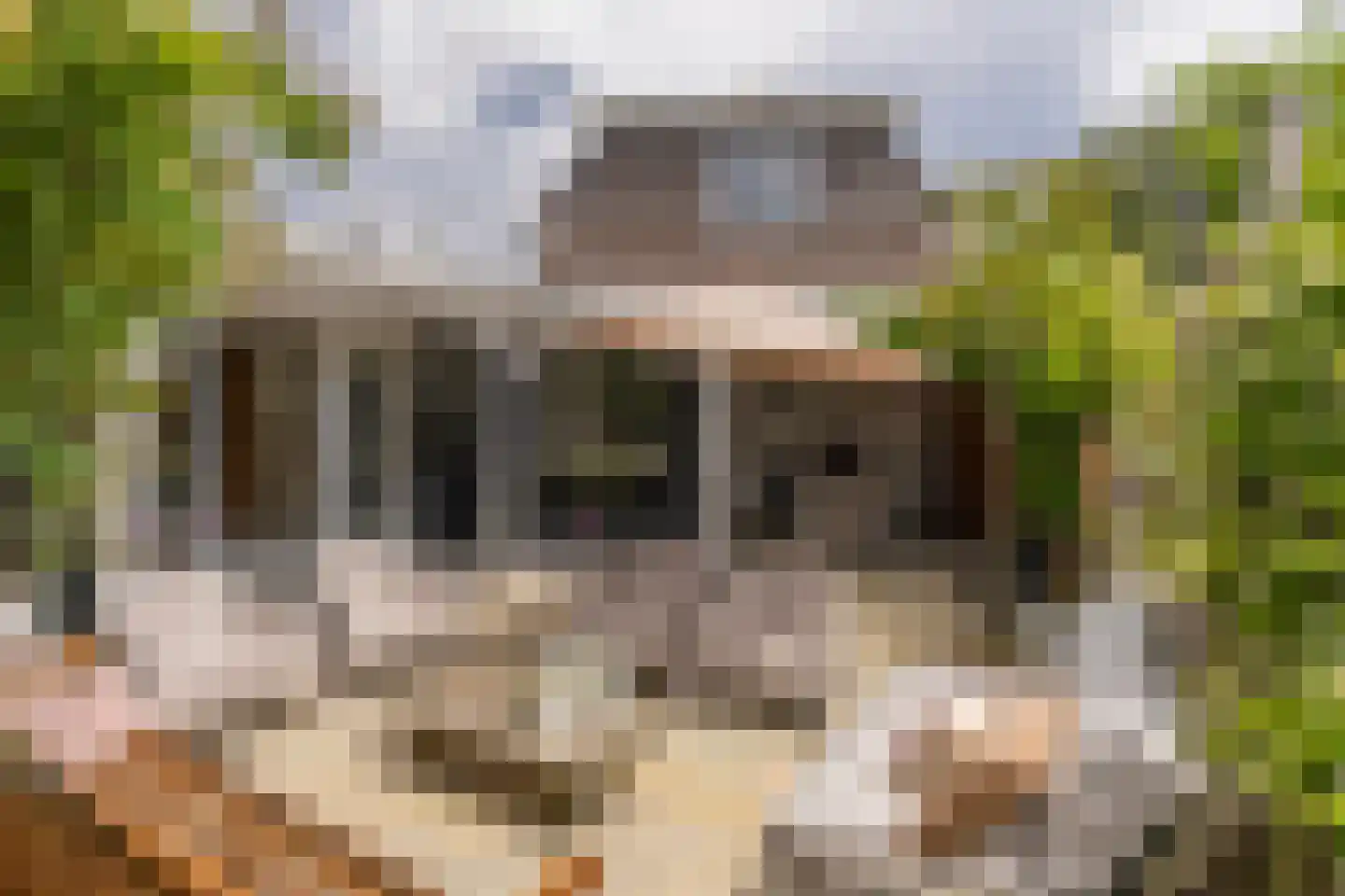 Mr. Jan Tuningstraat 80 Naaldwijk thumbnail 6