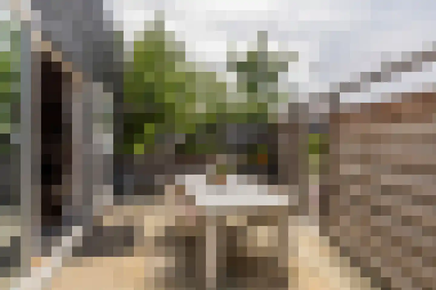 Mr. Jan Tuningstraat 80 Naaldwijk thumbnail 64