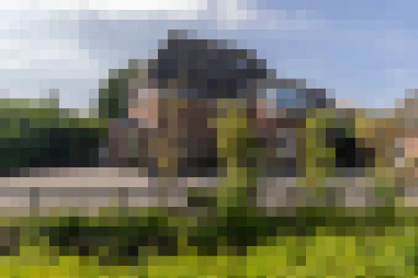 Mr. Jan Tuningstraat 80 Naaldwijk thumbnail 72