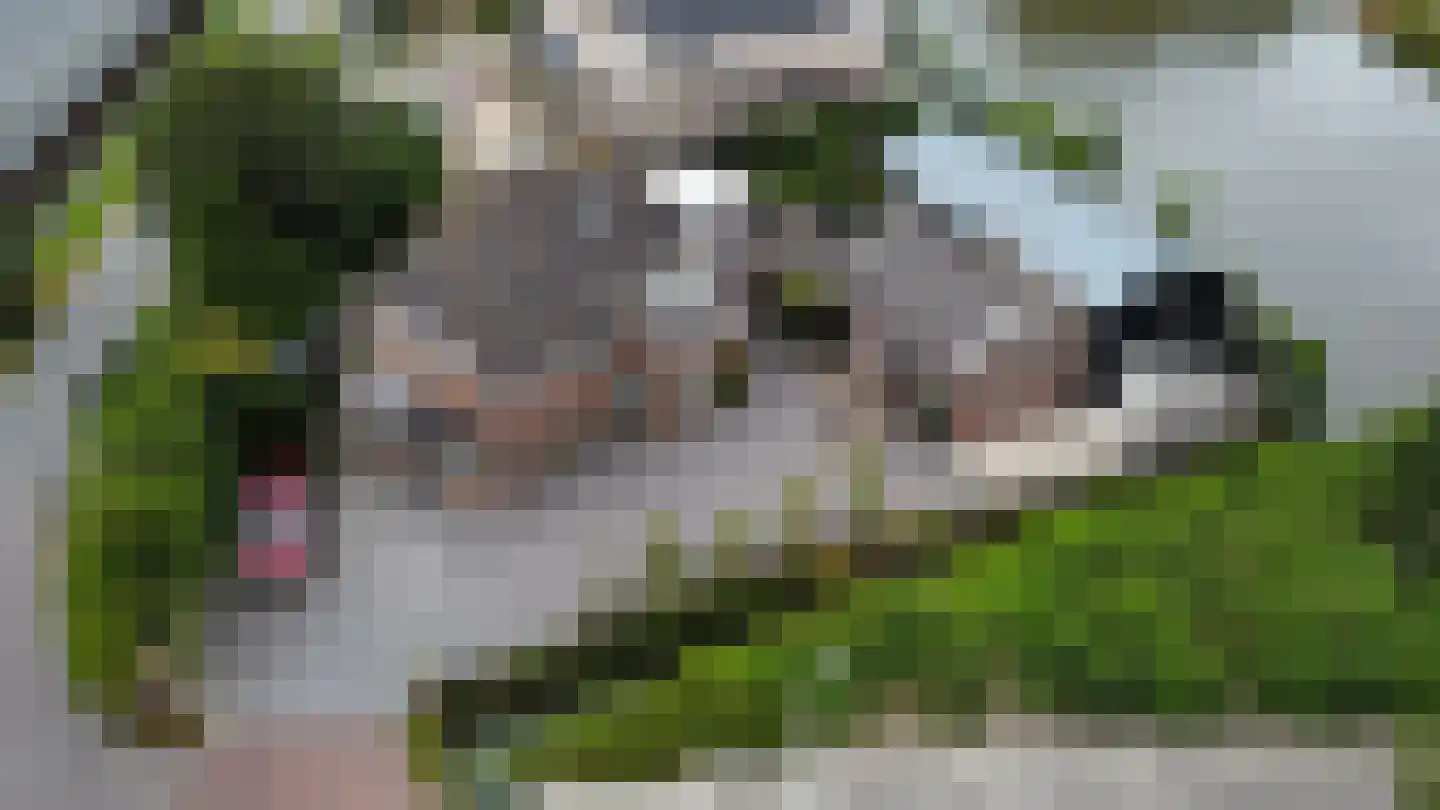 Mr. Jan Tuningstraat 80 Naaldwijk thumbnail 73