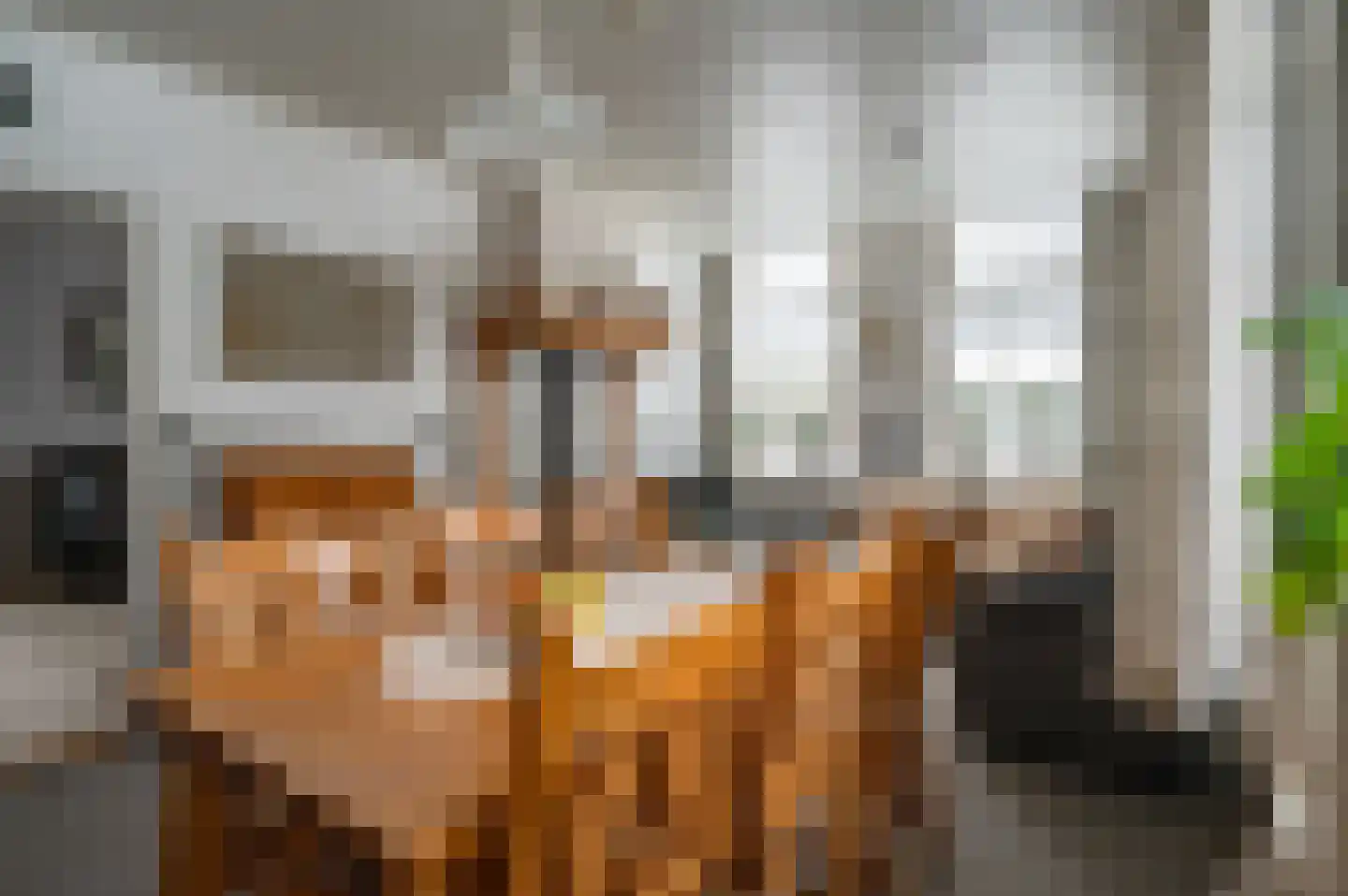 Mr JB Kanlaan 42 Punthorst thumbnail 11