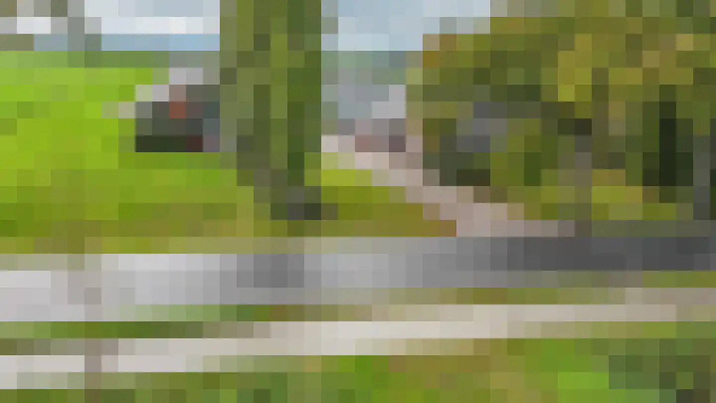 Mr JB Kanlaan 42 Punthorst thumbnail 49