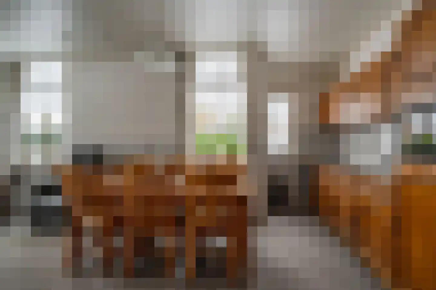 Mr JB Kanlaan 42 Punthorst thumbnail 9