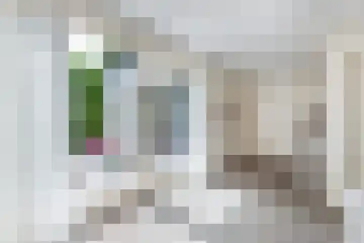 Mr K Bijlsmastraat 2 Franeker thumbnail 24